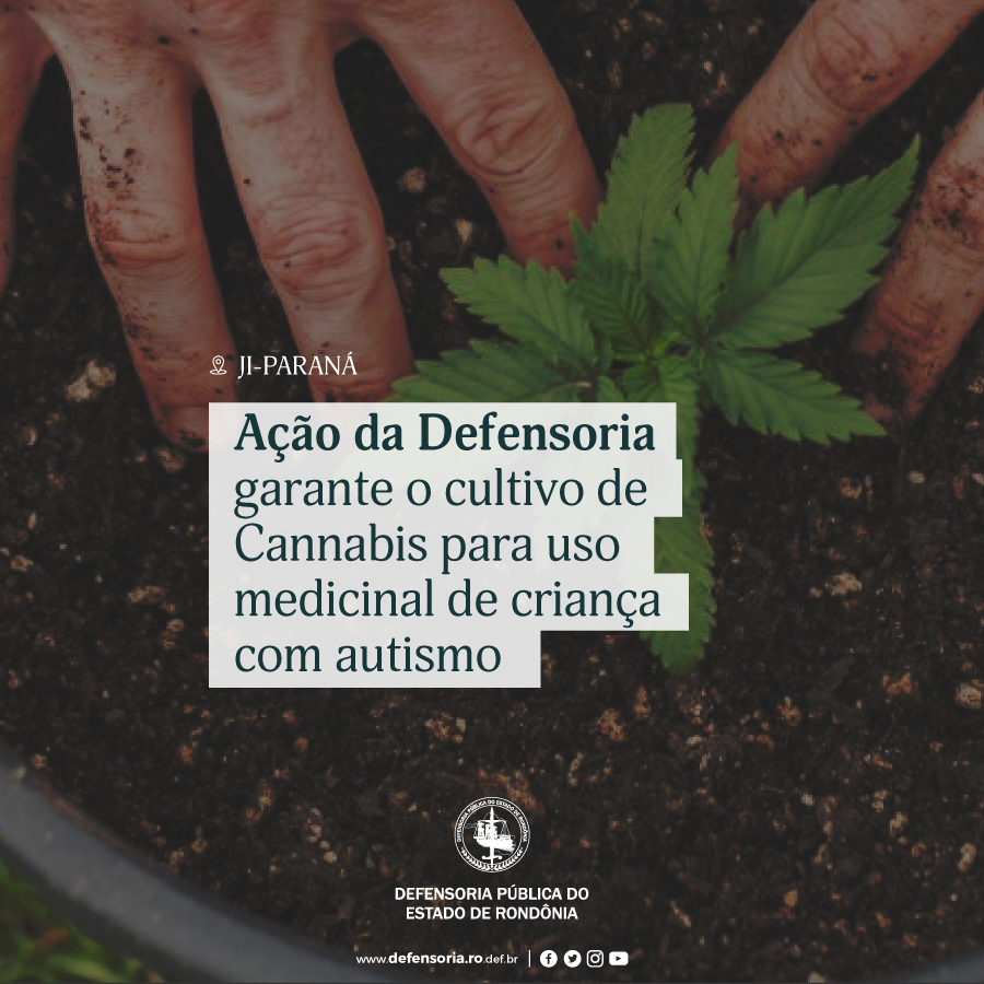 Ji-Paraná: Ação da DPE garante o cultivo de Cannabis para uso medicinal de criança com autismo