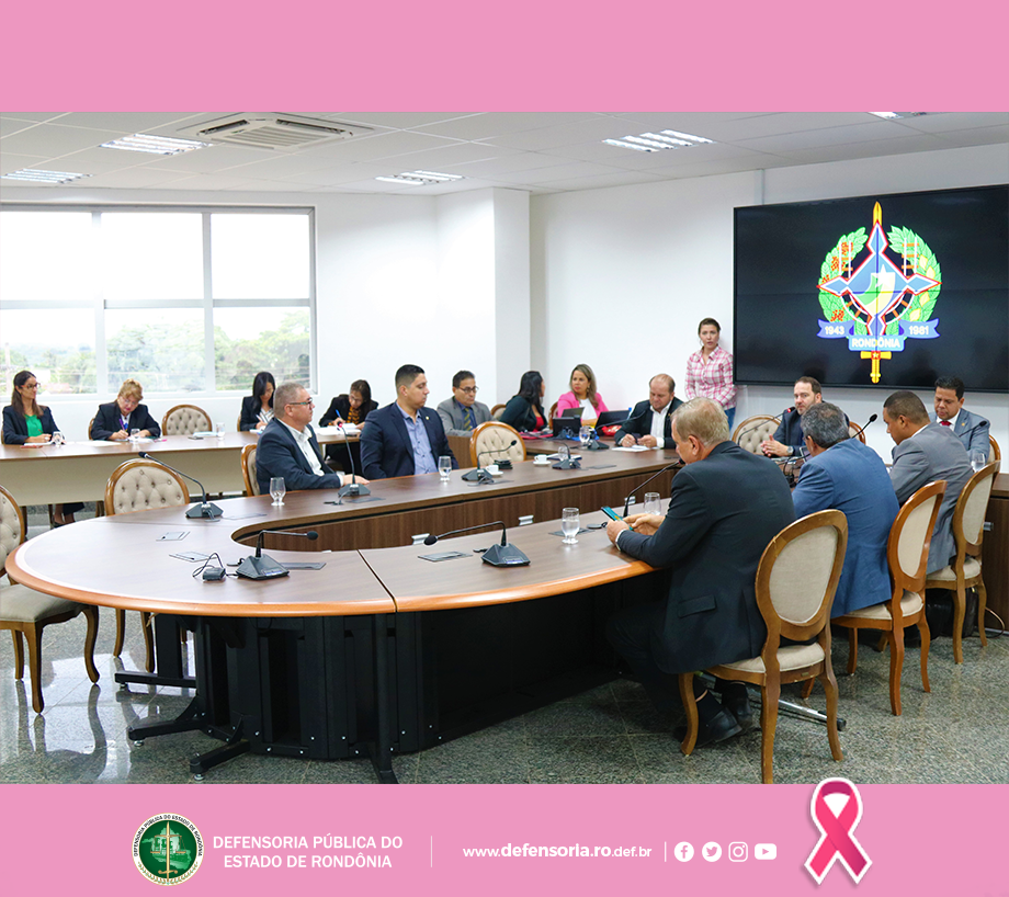 Defensoria participa da segunda reunião da CPI da Energisa