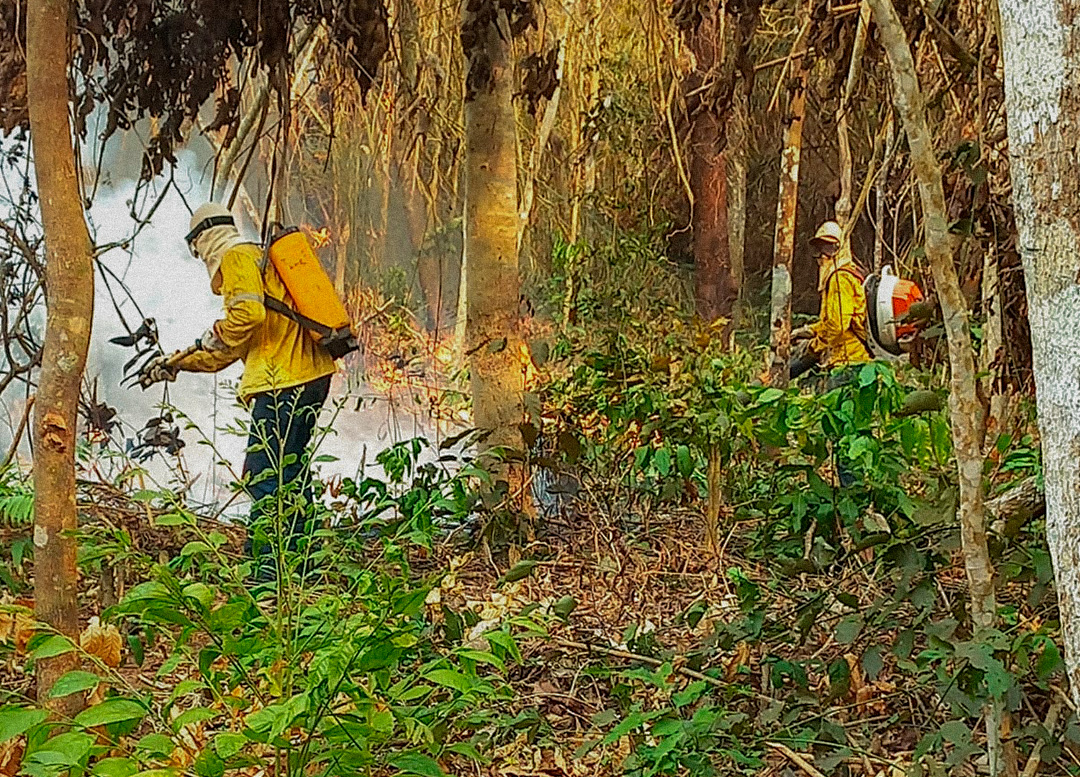 Costa Marques: Defensoria Pública apoia comunidade quilombola na busca por auxílio para combater incêndios florestais